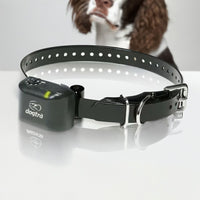Dogtra No Bark Collar Small to Medium