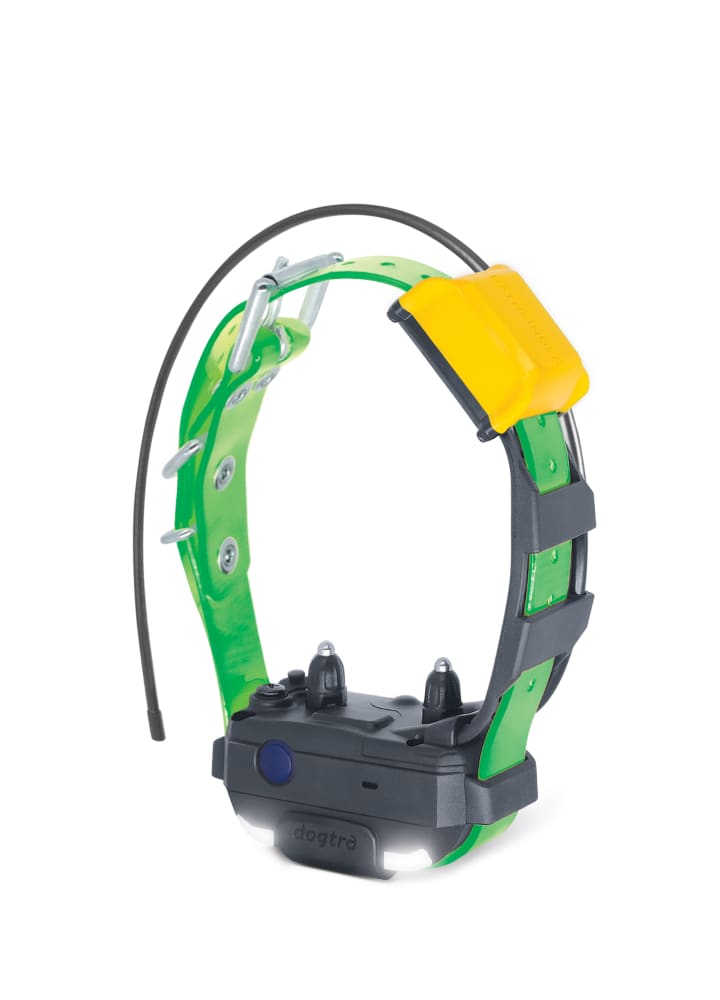 Dogtra PATHFINDER2 MINI Additional GPS Dog Tracking and Dog Training Collar - Green