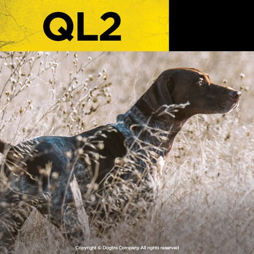 Dogtra Quail Launcher Only