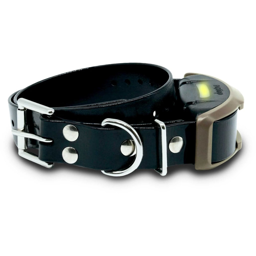 Dogtra Remote Dog Trainer 3/4 Mile Expandable - 1900X - Dog