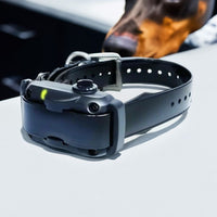 Dogtra YS600 Bark Control Collar