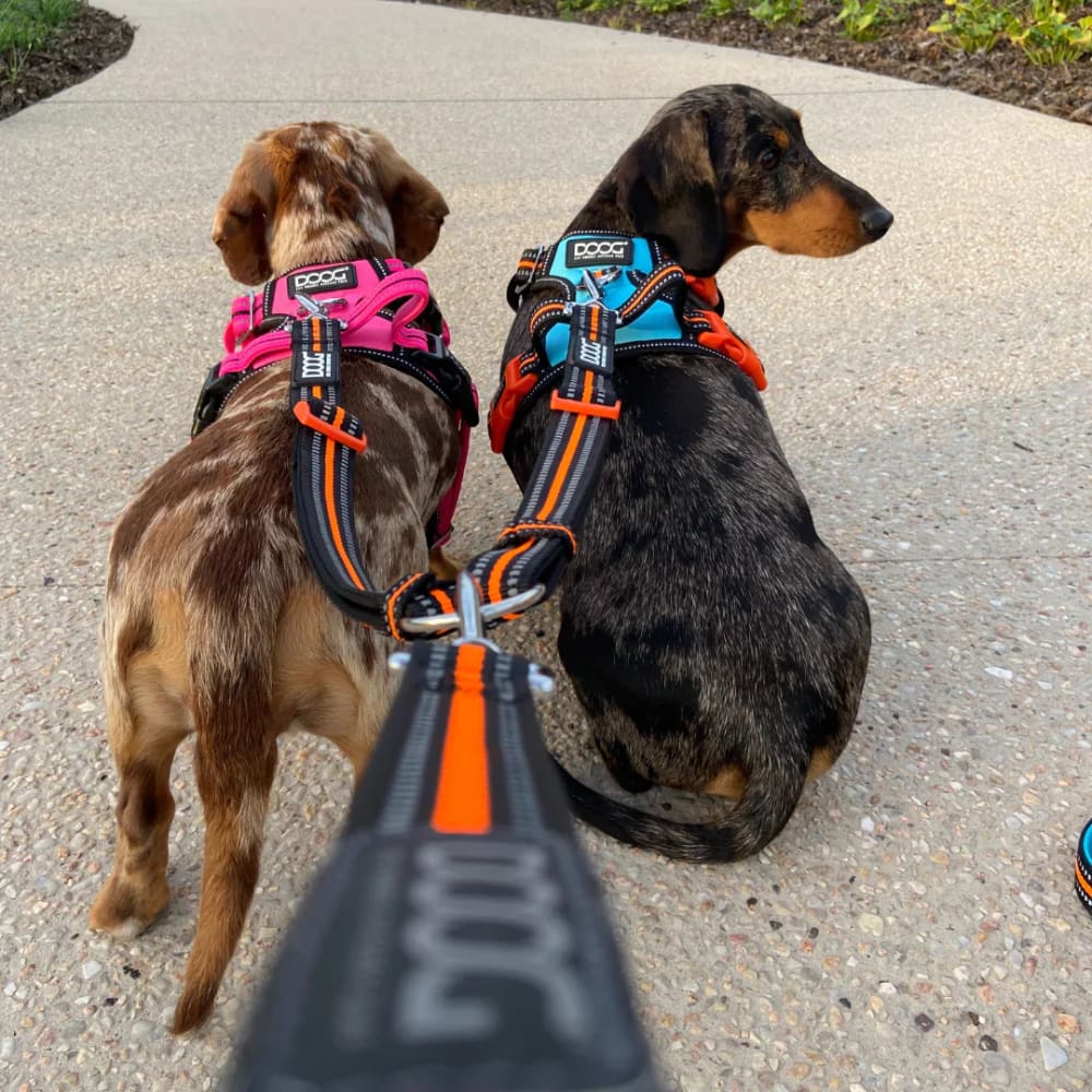 Doog Dual Walker Leash - Dog Leashes