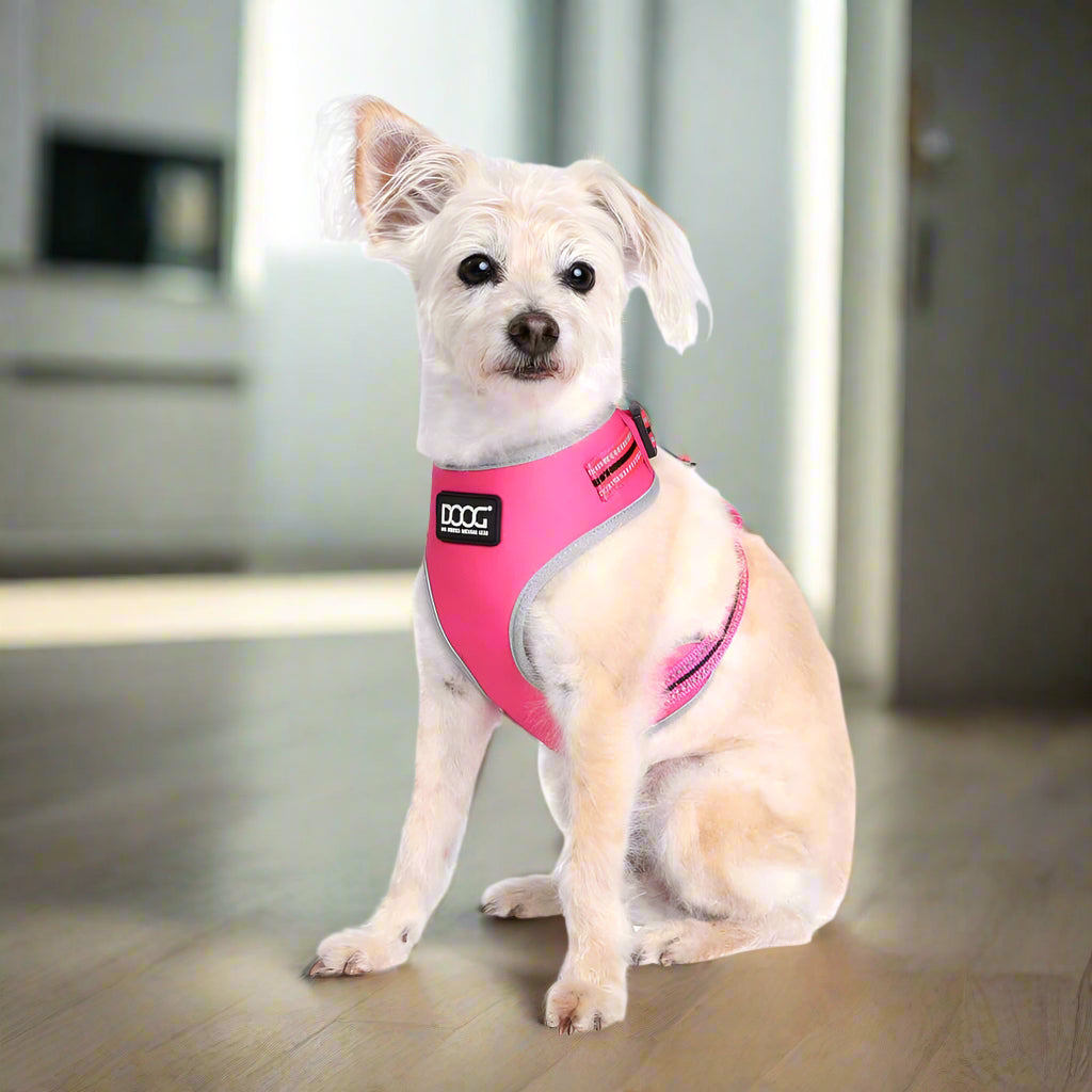 Doog Neoflex Dog Harness - Dog Harnesses