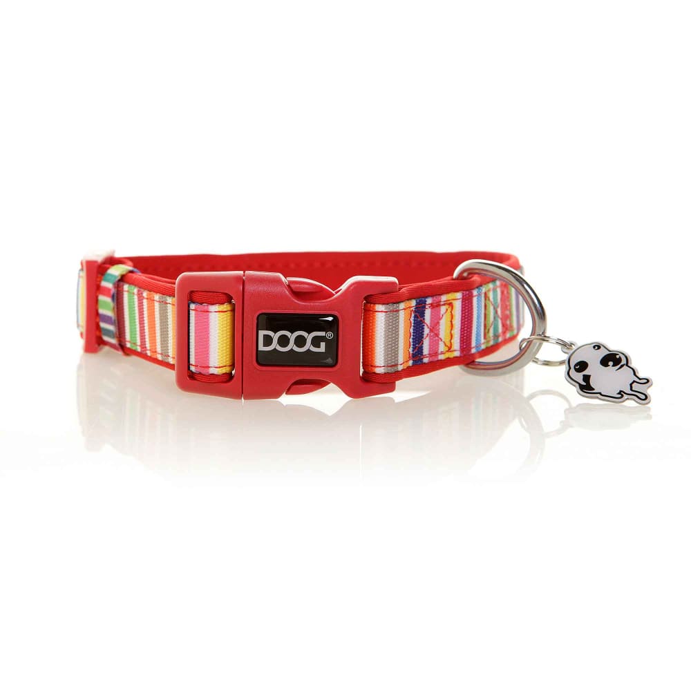 Doog Neoprene Dog Collar - Dog Collars - Doog