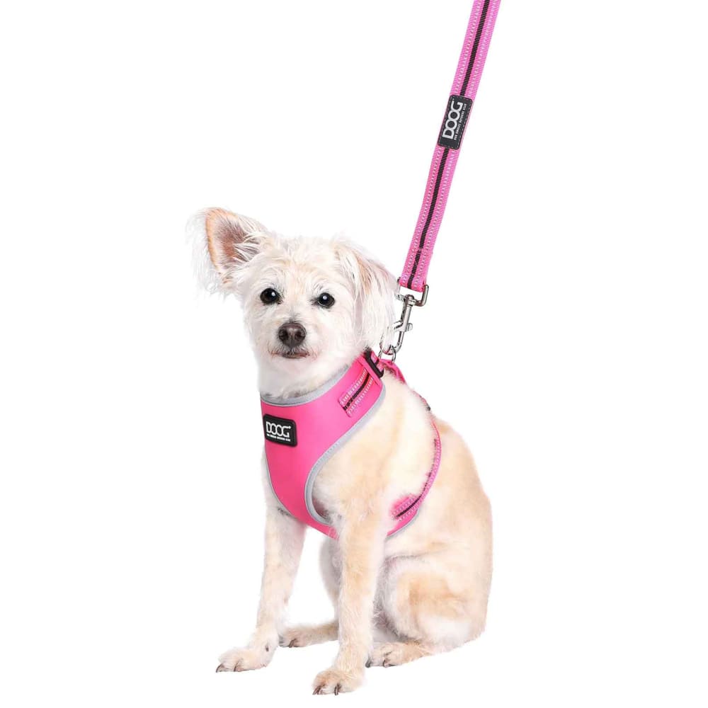 Doog Neoprene Dog Leash - Dog Leashes