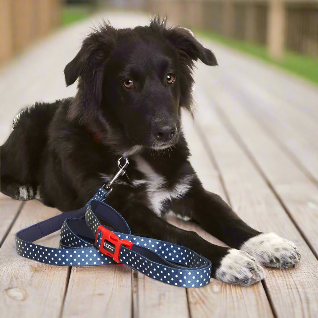 Doog Neoprene Dog Leash - Dog Leashes