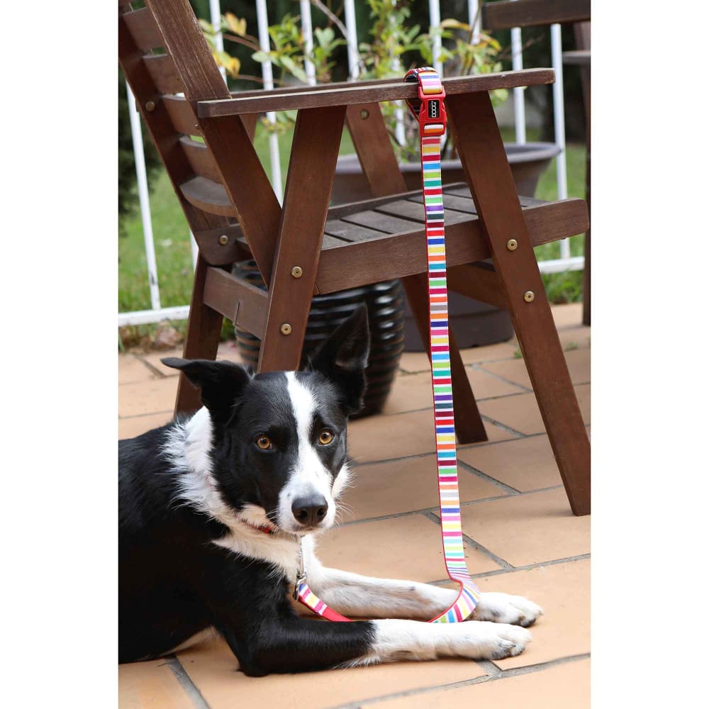 Doog Neoprene Dog Leash - Dog Leashes