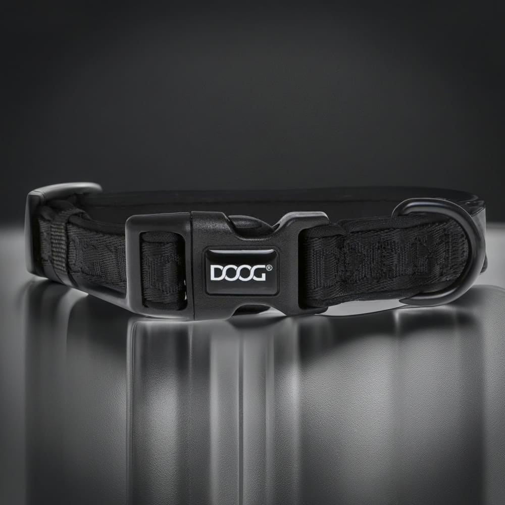 Doog Neosport Neoprene Dog Collar - Dog Collars - Doog