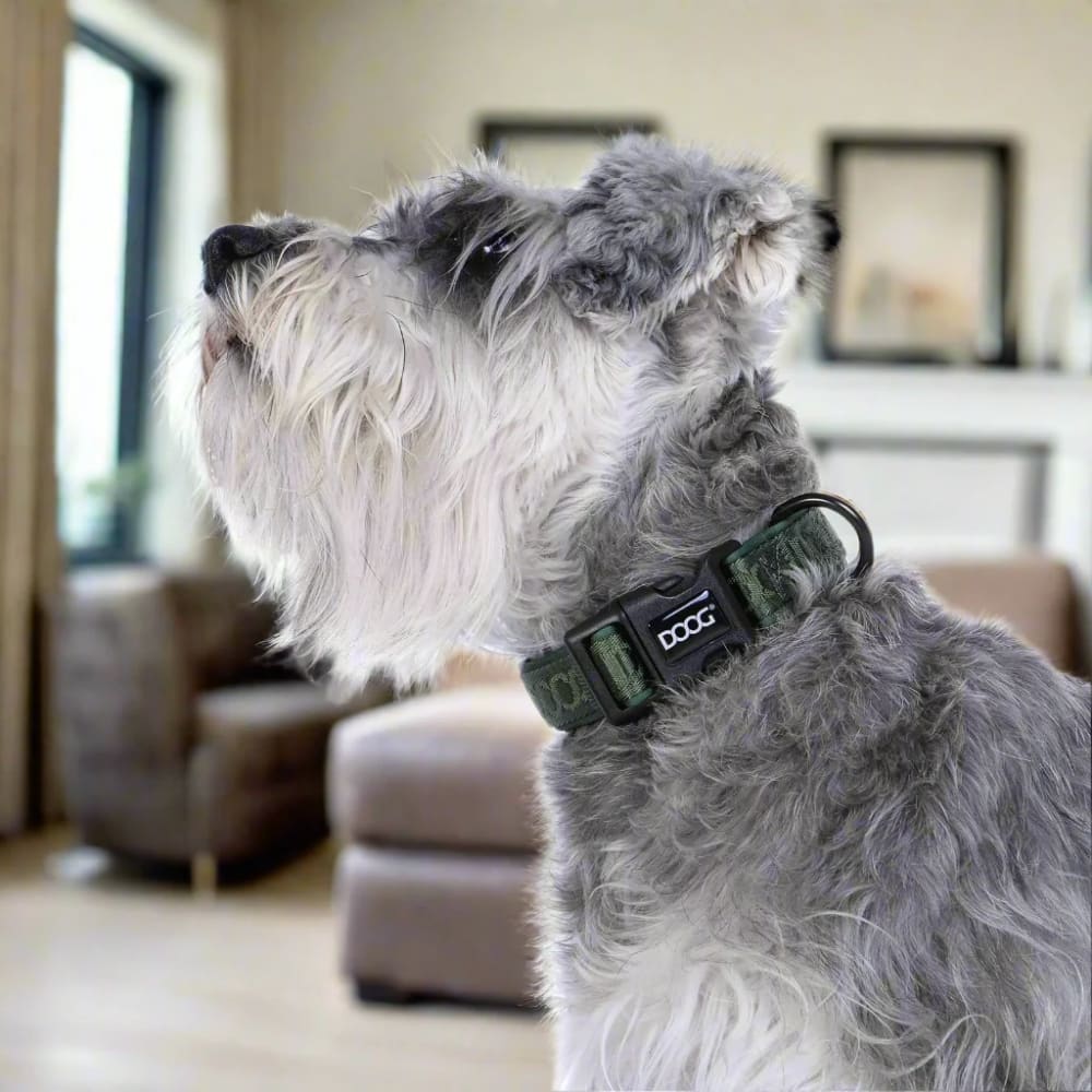 Doog Neosport Neoprene Dog Collar - Dog Collars - Doog