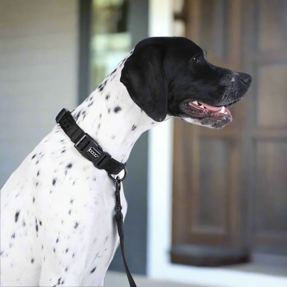 Doog Neosport Neoprene Dog Collar - Dog Collars - Doog