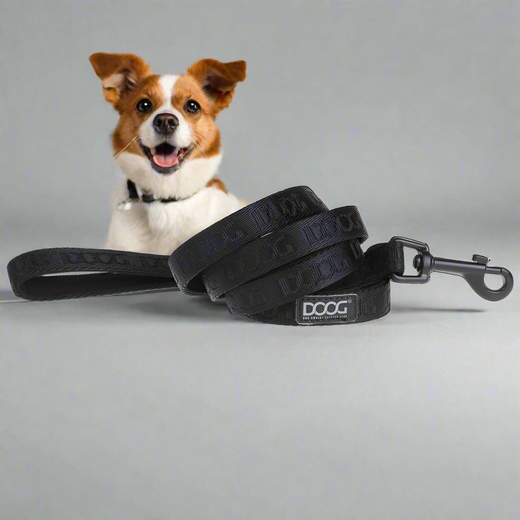 Doog Neosport Neoprene Dog Leash - Dog Leashes