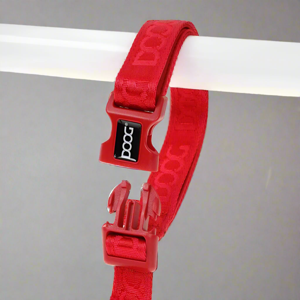 Doog Neosport Neoprene Dog Leash - Dog Leashes