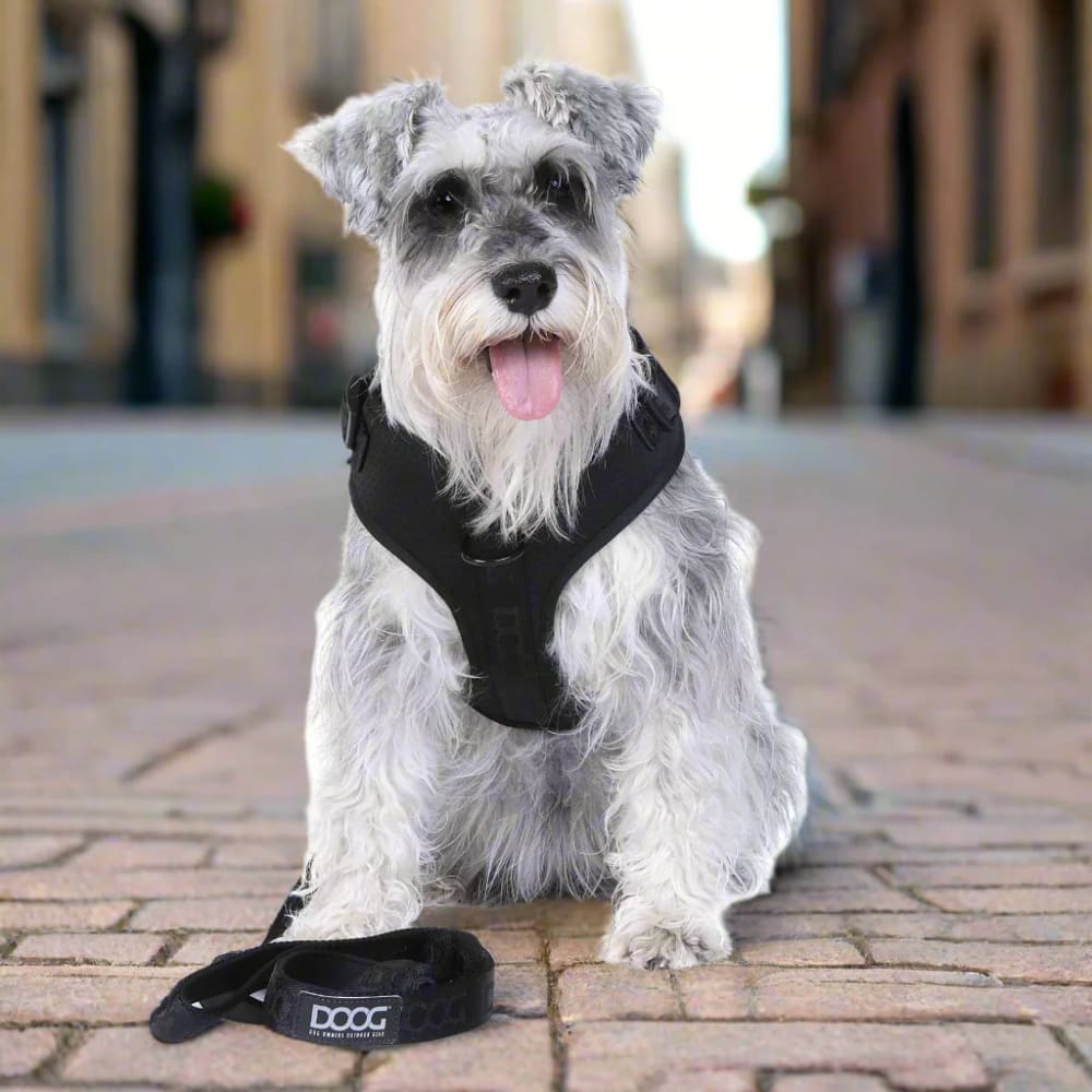Doog Neosport Soft Dog Harness - Dog Harnesses