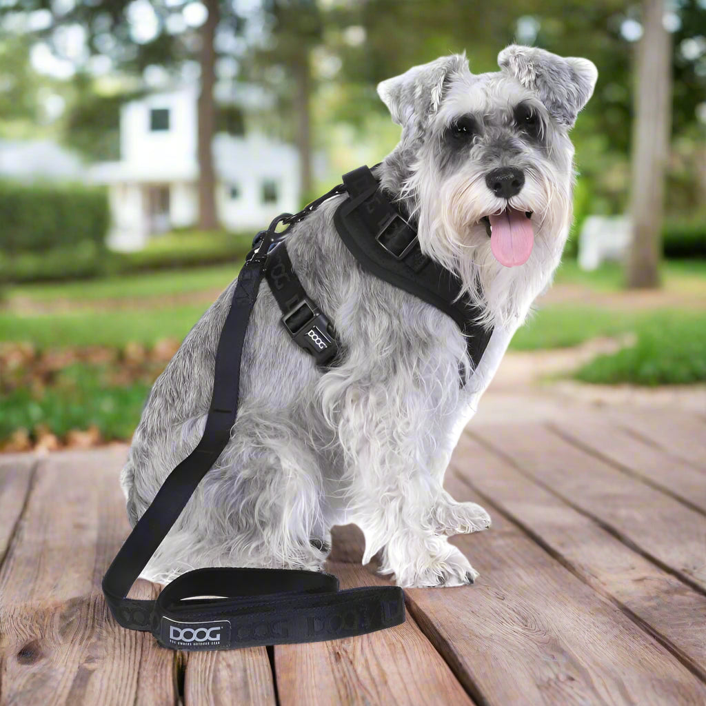 Doog Neosport Soft Dog Harness - Dog Harnesses