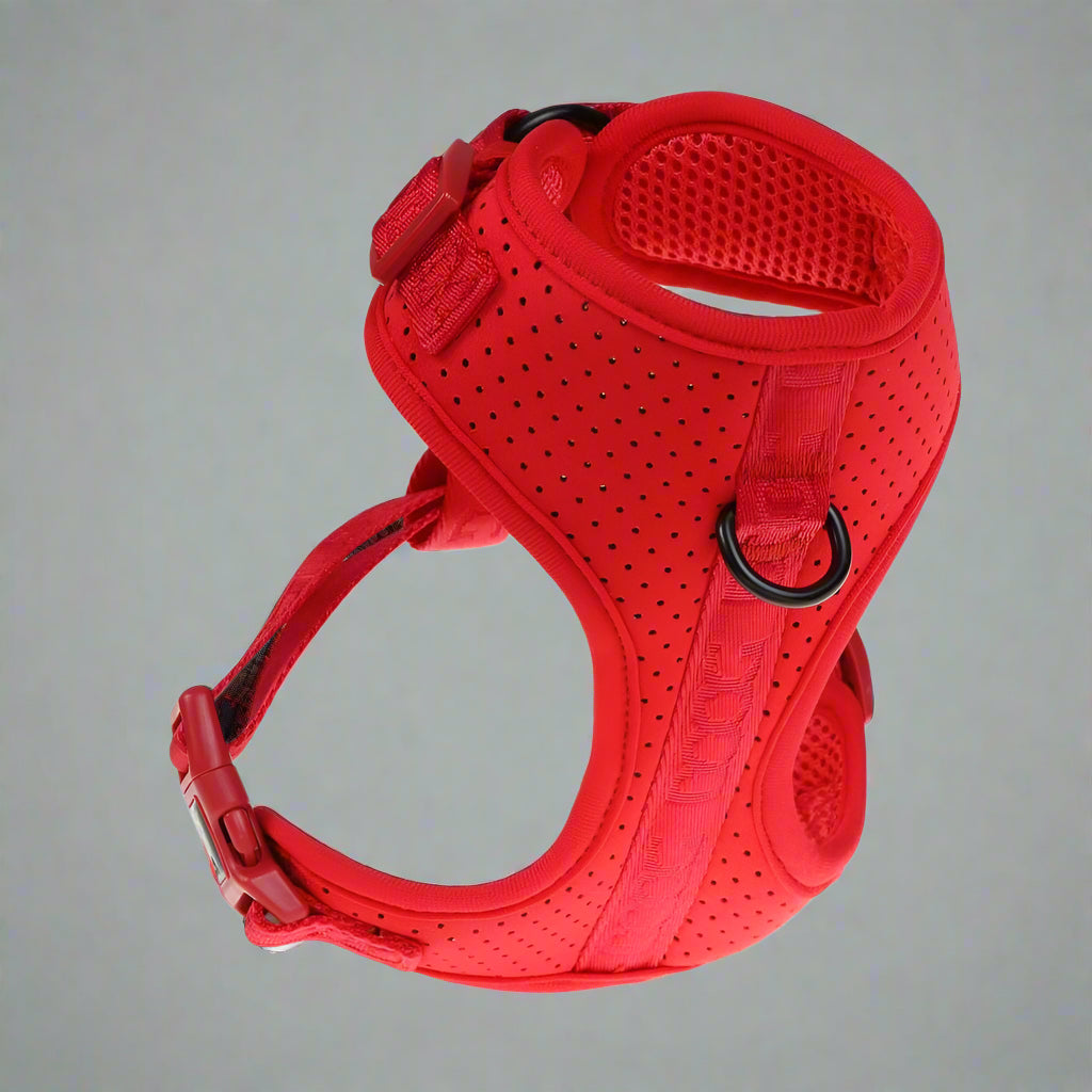 Doog Neosport Soft Dog Harness - Dog Harnesses
