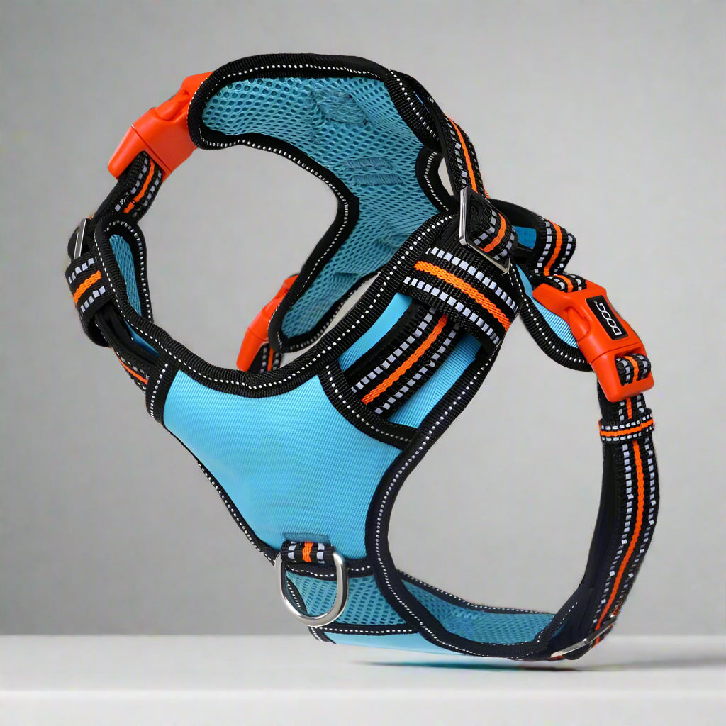 Doog Neotech Control Dog Harness - Dog Harnesses