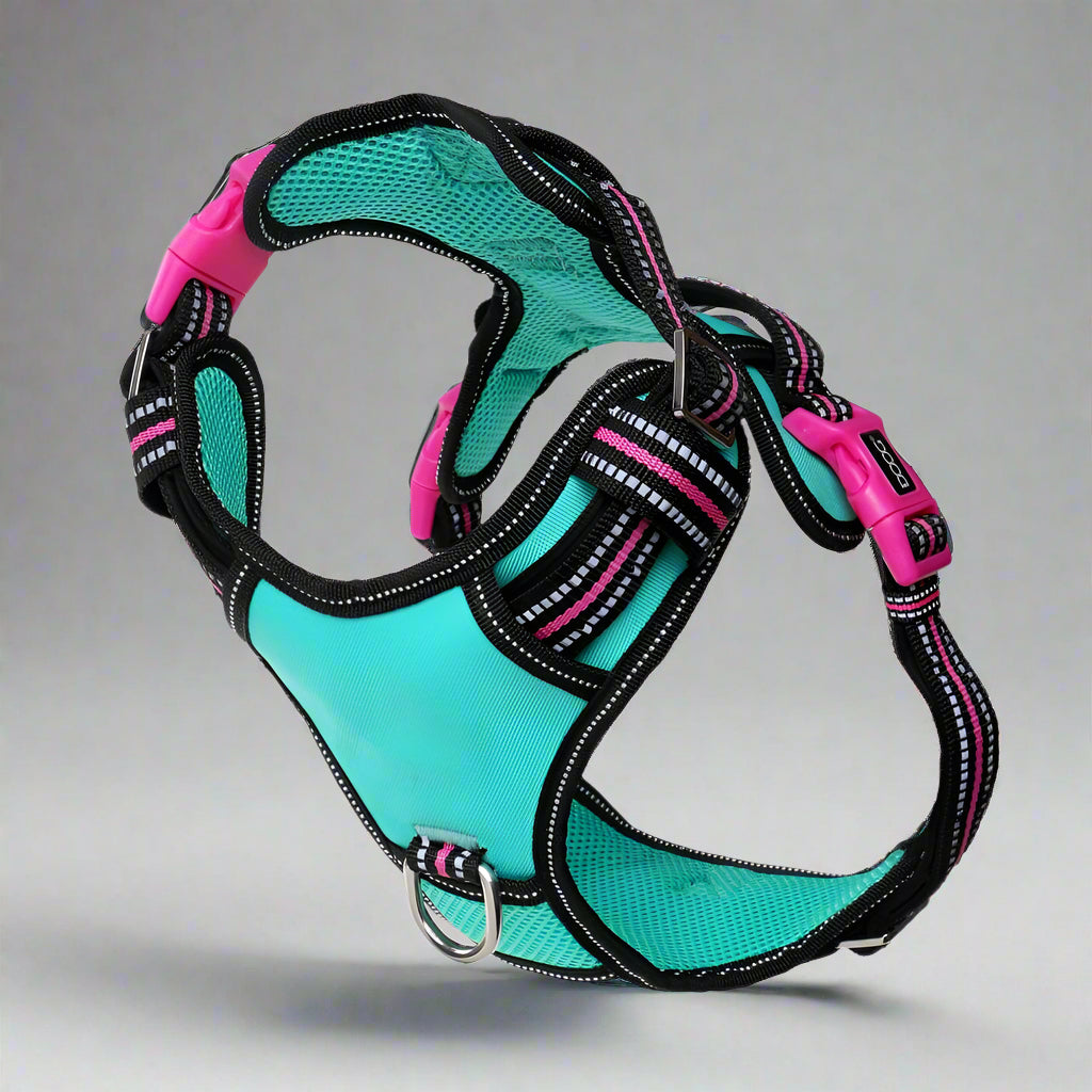 Doog Neotech Control Dog Harness - Dog Harnesses