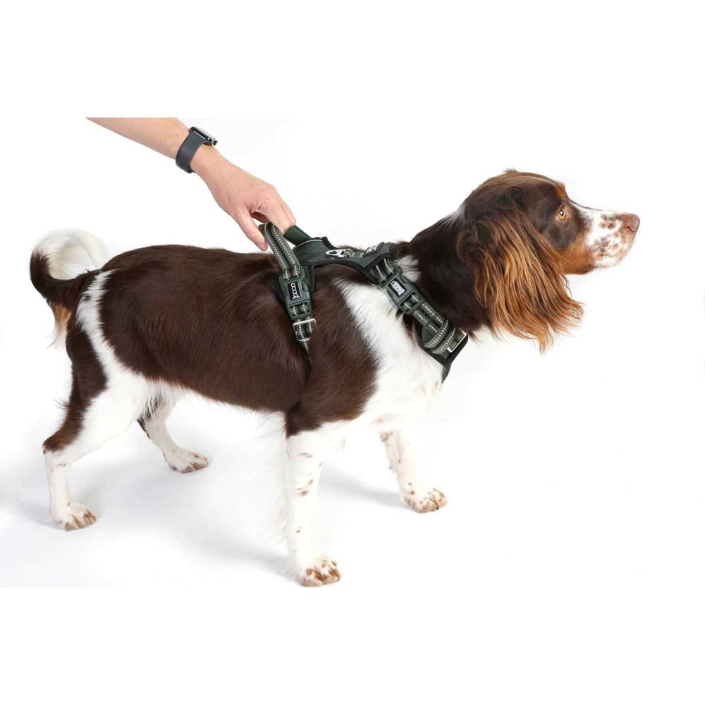 Doog Neotech Control Dog Harness - Dog Harnesses