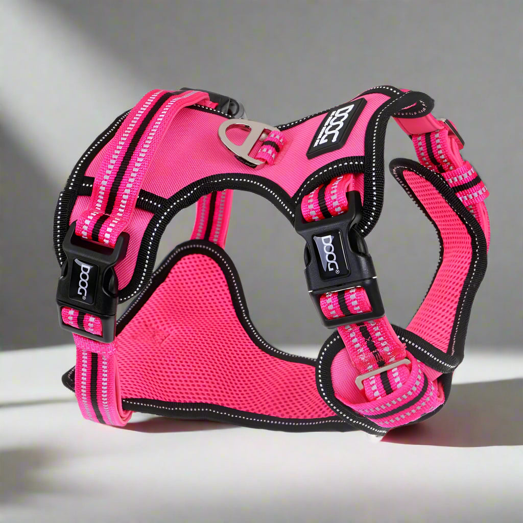 Doog Neotech Control Dog Harness - Dog Harnesses