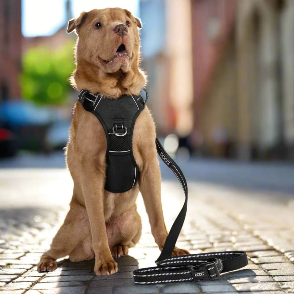 Doog Neotech Control Dog Harness - Dog Harnesses