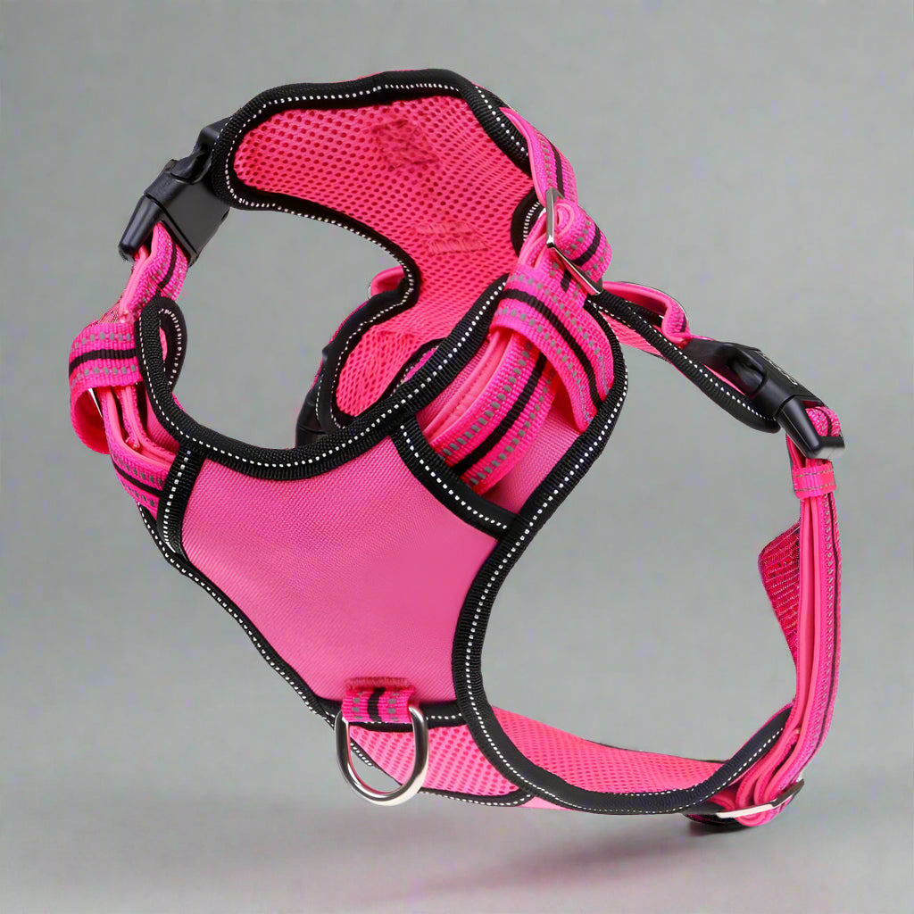 Doog Neotech Control Dog Harness - Dog Harnesses