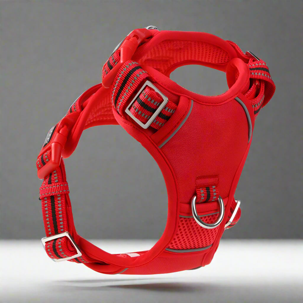 Doog Neotech Control Dog Harness - Dog Harnesses