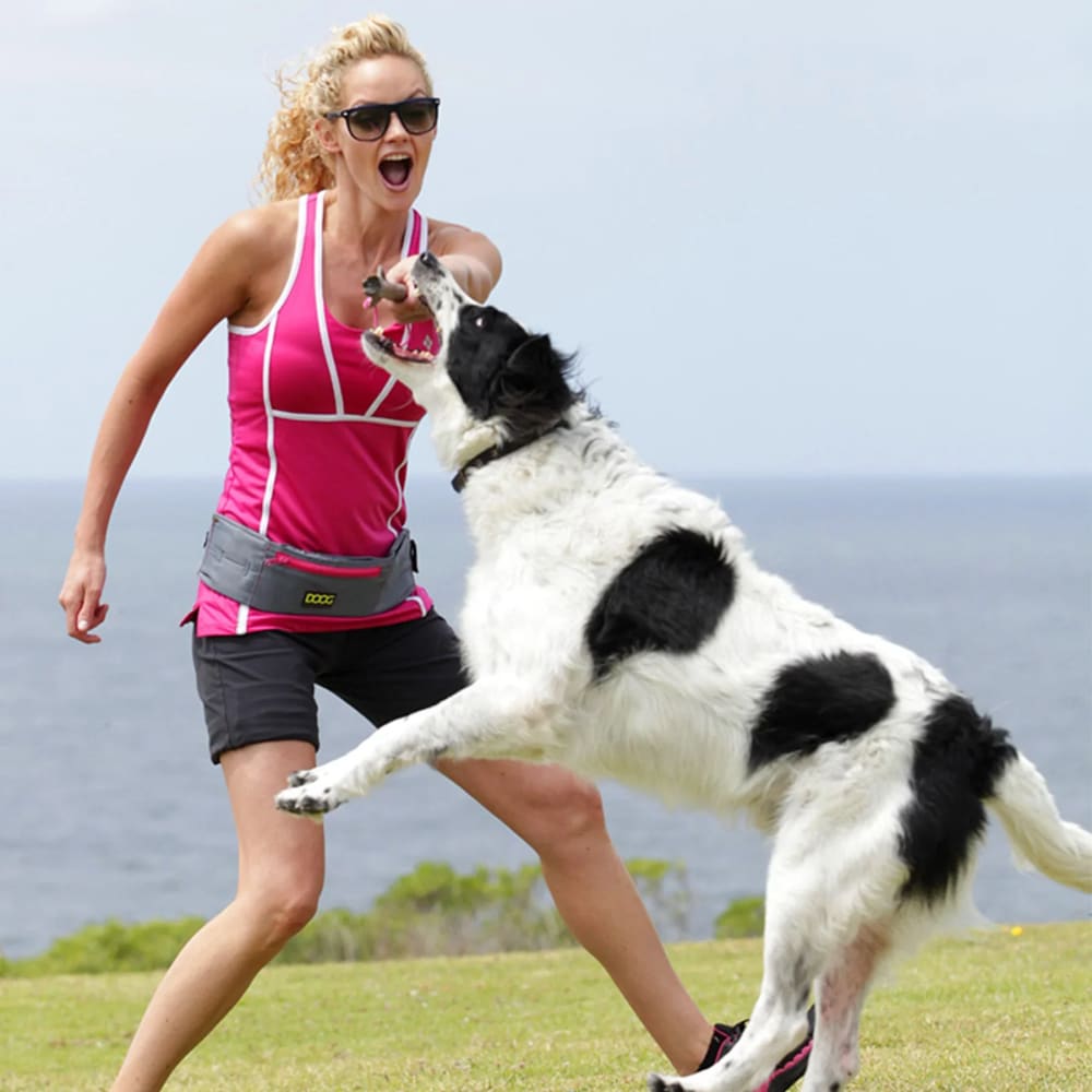 Doog Walkie Belt - Doog Walking Accessories