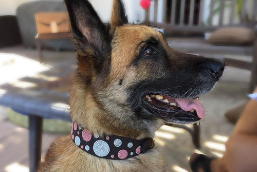 Dots Pink Beaded Dog Collar - Dog Collars - Maasai