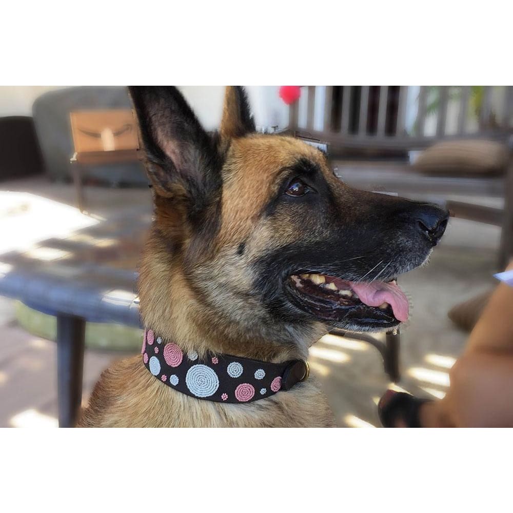 Dots Pink Beaded Dog Collar - Dog Collars - Maasai