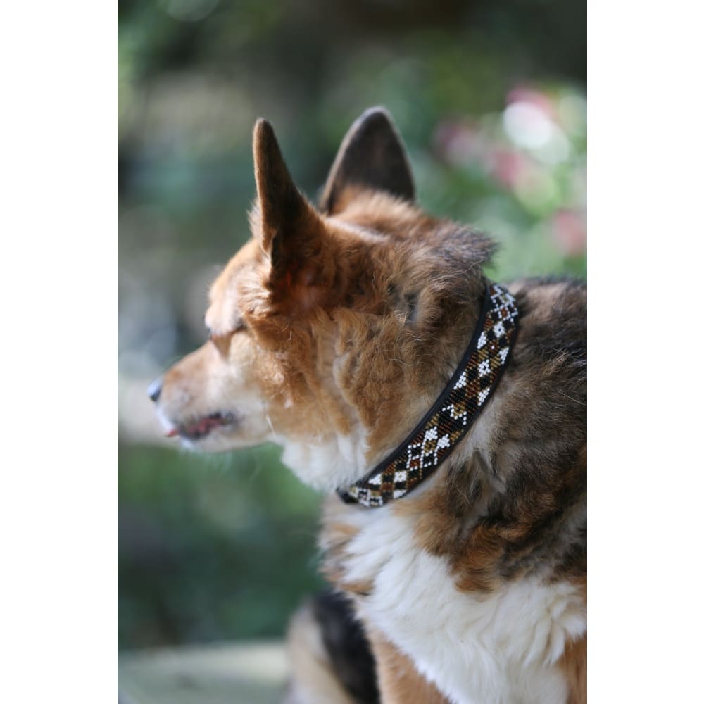 Earth Argyle Beaded Dog Collar - Dog Collars - Maasai
