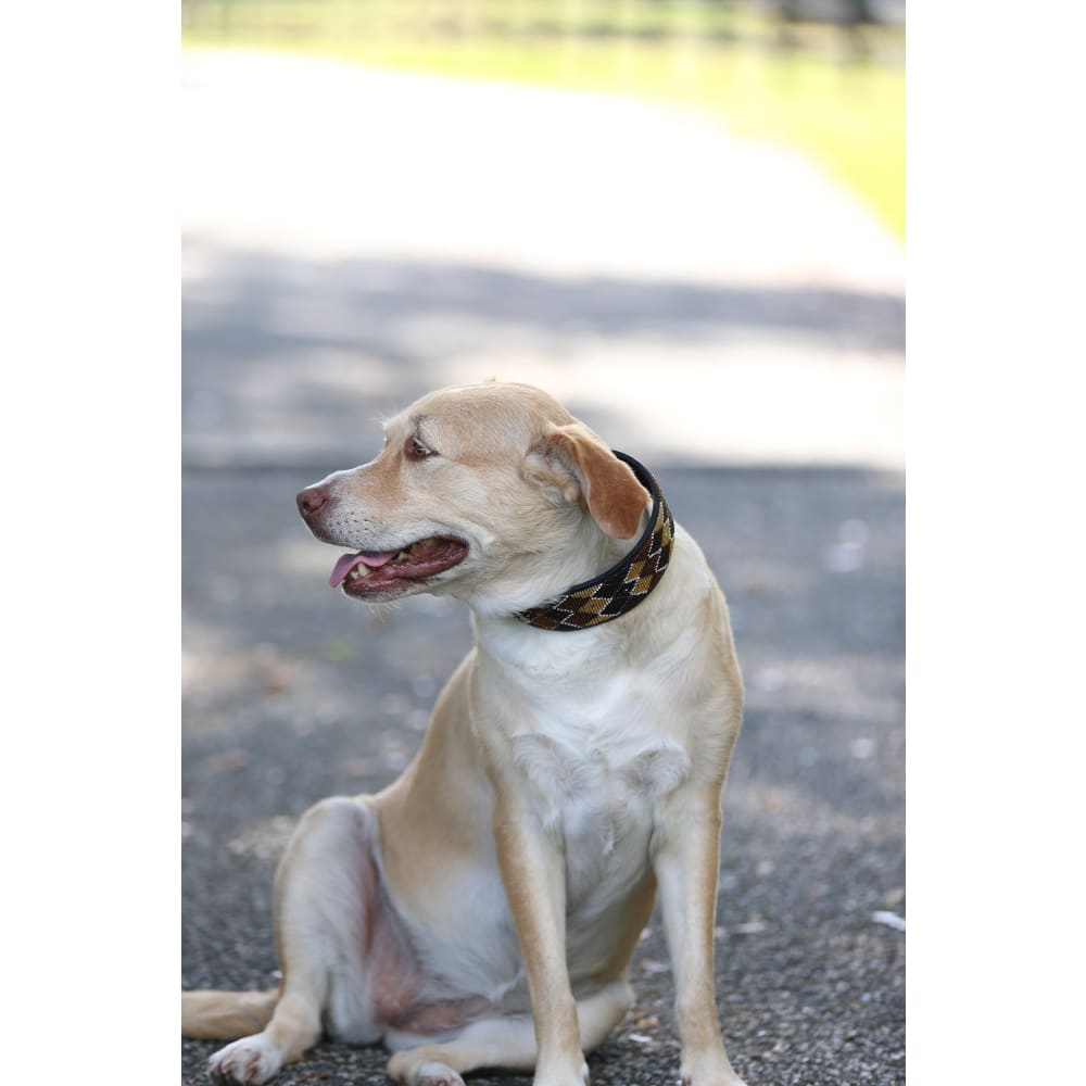 Earth Argyle Beaded Dog Collar - Dog Collars - Maasai