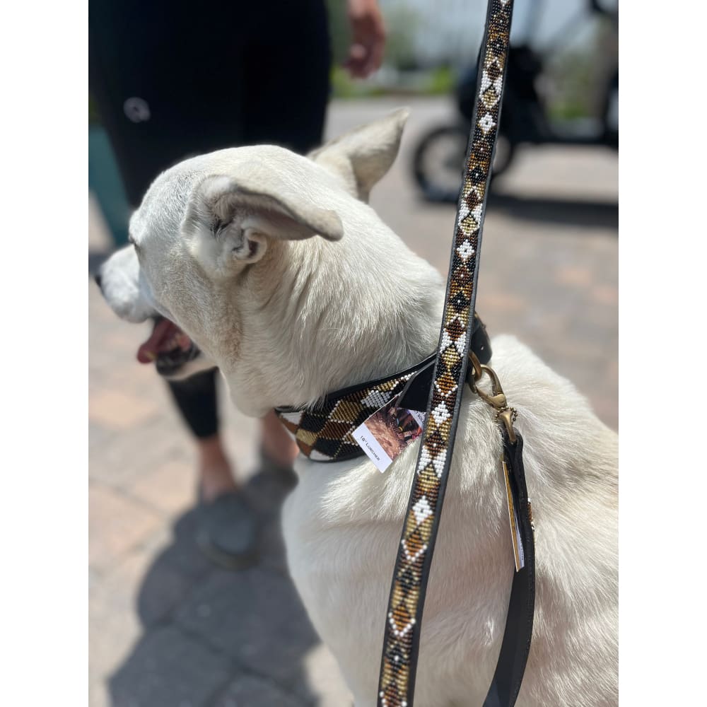 Earth Argyle Beaded Dog Collar - Dog Collars - Maasai