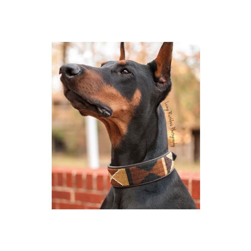 Earth Beaded Dog Collar - Dog Collars - Maasai