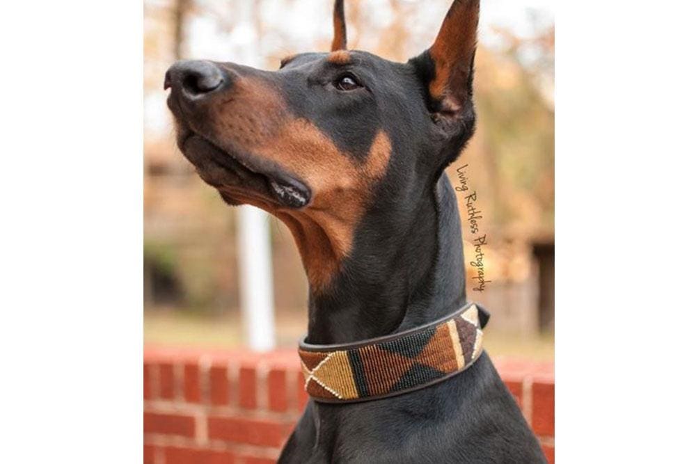 Earth Beaded Dog Collar