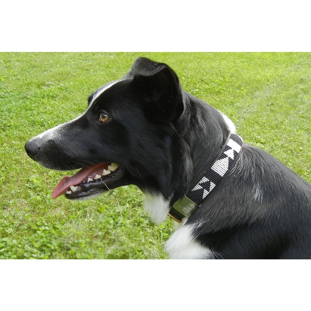 Ebony & Ivory Beaded Dog Collar - Dog Collars - Maasai