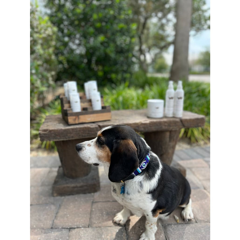 Evil Eye Beaded Dog Collar - Dog Collars - Maasai