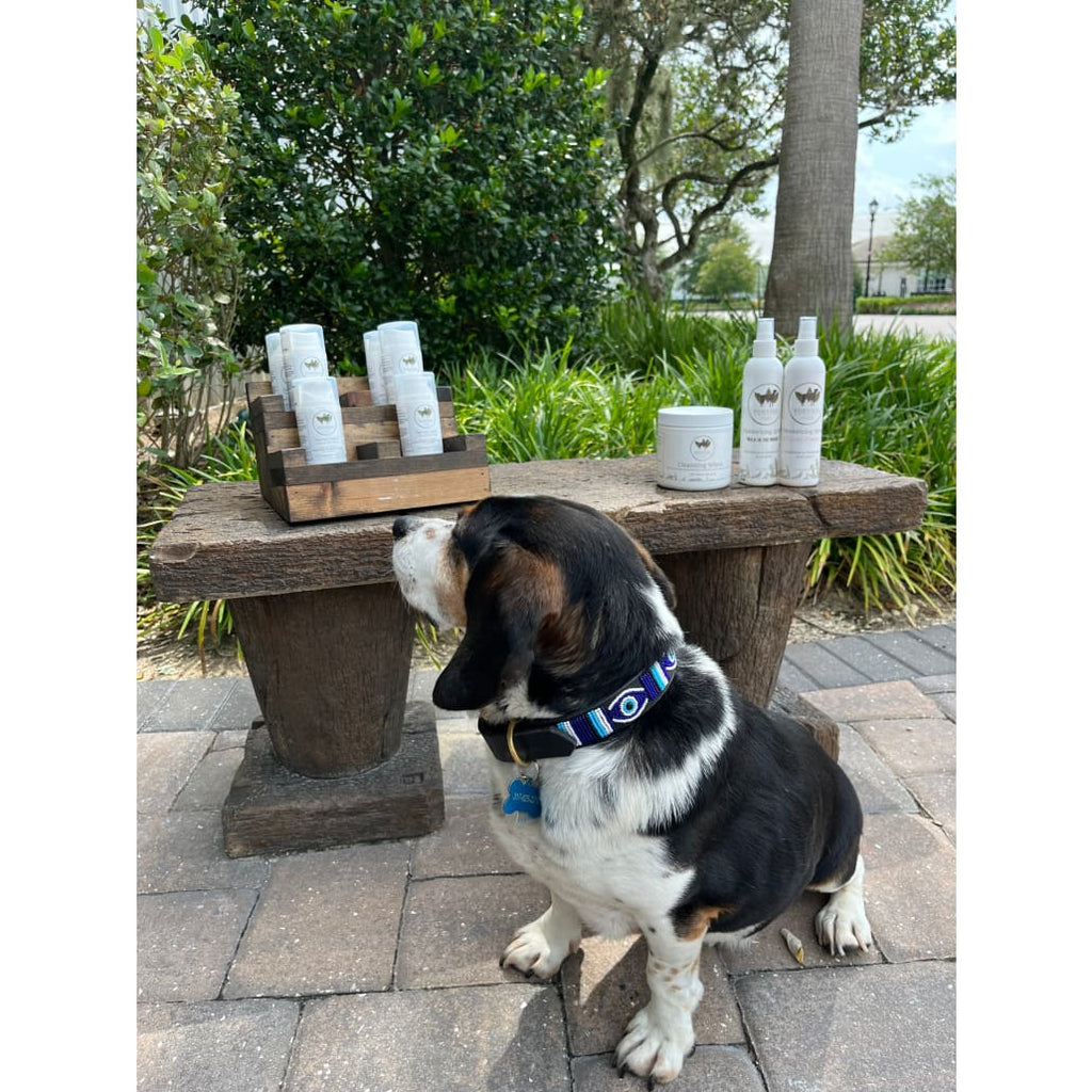 Evil Eye Beaded Dog Collar - Dog Collars - Maasai