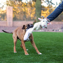 Fat Tail Dog Squeak Toy - Dog Chew Toy