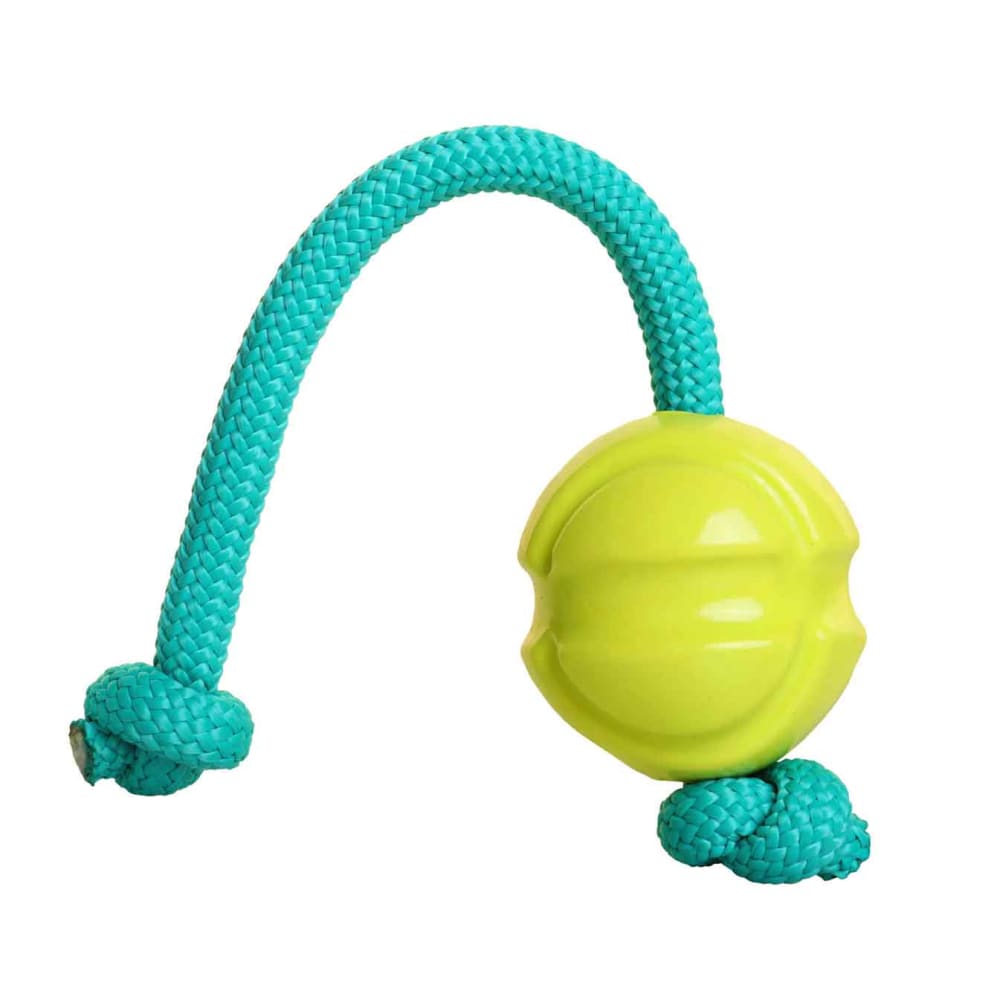 Fetch ables Fetch A Tug Dog Toy Doog