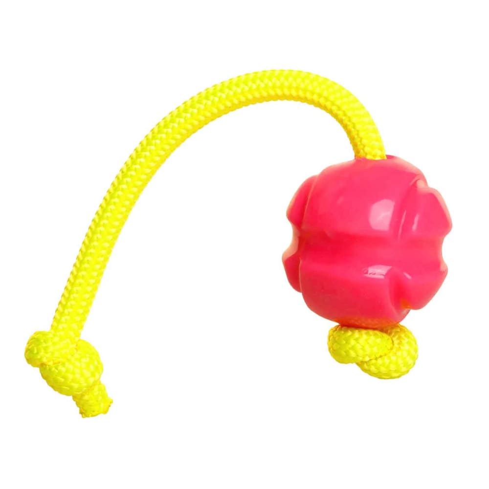 Fetch ables Fetch A Tug Dog Toy Doog