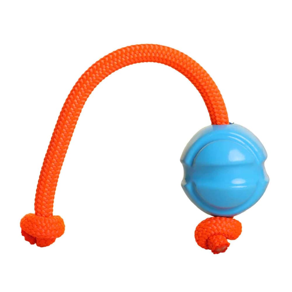 Fetch ables Fetch A Tug Dog Toy Doog