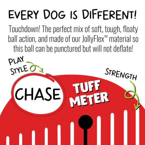 Jolly Football Dog Toy