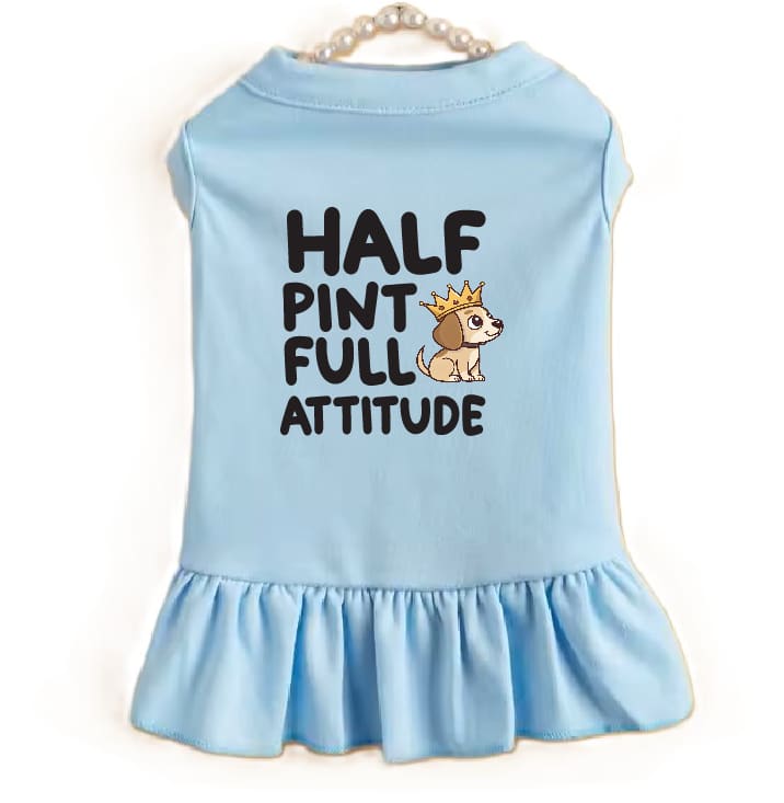 Light Blue / XS (0-3Lbs.)