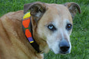 Hippo Circus Beaded Dog Collar - Dog Collars - Maasai