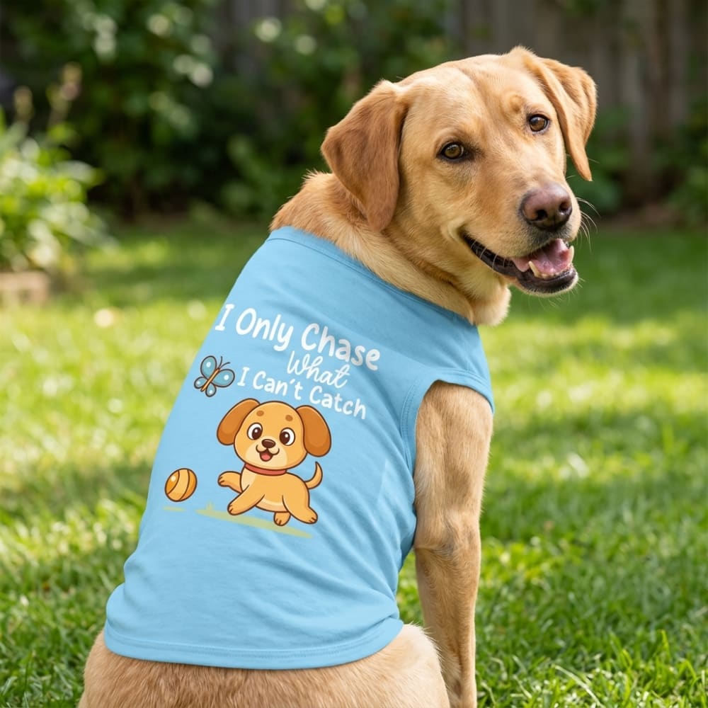 I Only Chase What I Can't Catch Dog Shirt