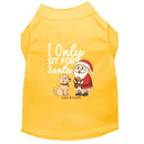 I Only Sit for Santa | Christmas Dog Shirt - Christmas Dog