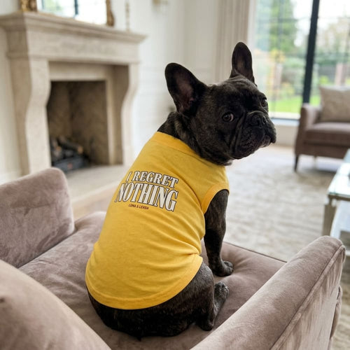 I Regret Nothing Dog Shirt - Funny Dog Shirts