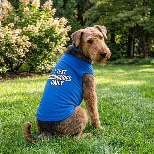 I Test Boundaries Daily Dog Shirt - Funny Dog Shirts