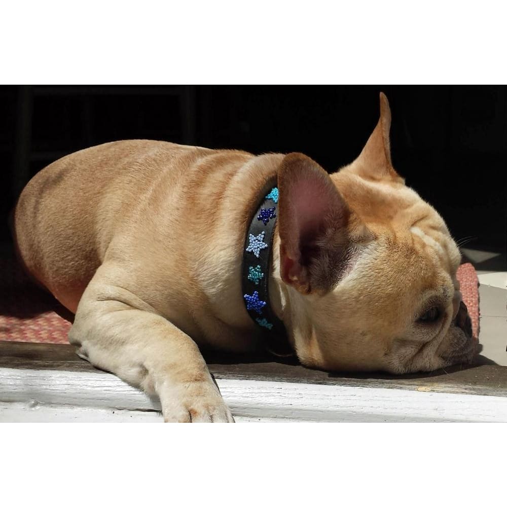 Indigo Stars Beaded Dog Collar - Dog Collars - Maasai