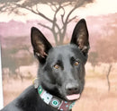 Jacaranda Beaded Dog Collar - Dog Collars - Maasai